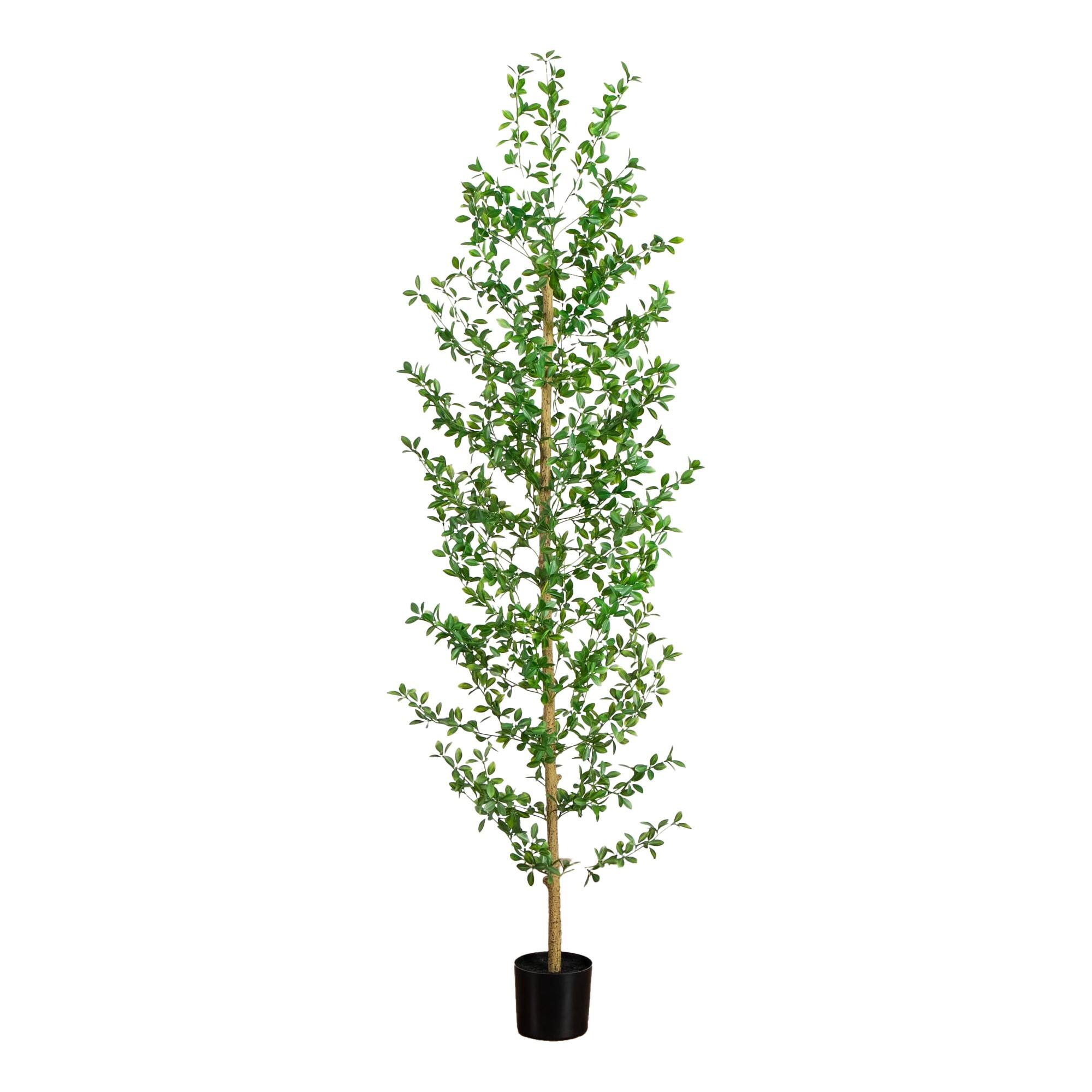 6ft. Artificial Shady Lady Black Olive Tree